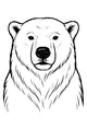 Snowy Stare of the Arctic Bear