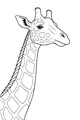 Tall Friend with a Spotty Neck
