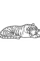 Sleepy Stripes in the Tall Grass