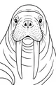 Wise Old Walrus With Whiskery Tusks