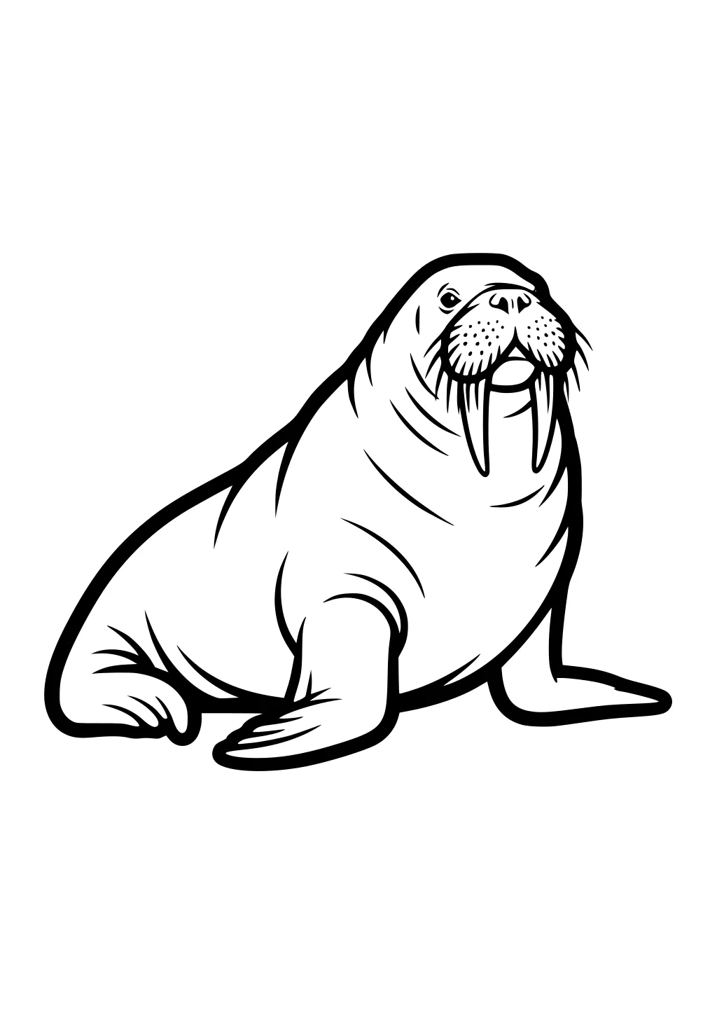 Walrus sitting with long tusks, whiskers, and flippers spread out, facing forward.