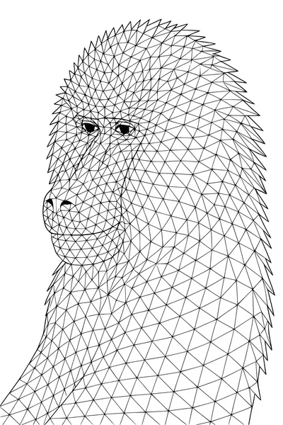 Baboon With Wild Whiskery Triangles