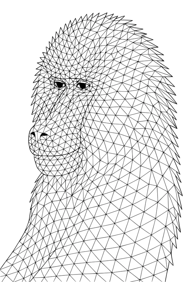 Baboon With Wild Whiskery Triangles