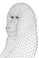 Baboon With Wild Whiskery Triangles