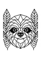 Sloth Smiles in the Jungle Leaves