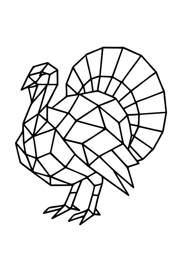 Triangle-Tailed Thanksgiving Turkey