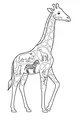 Safari Parade on Giraffe’s Tall Frame