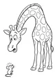 Tall Giraffe Meets a Tiny Surprise