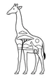 Tall Friend on the Savanna