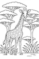Tall Friend Under the Savannah Trees