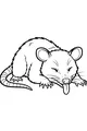 The Silly Sleepy Opossum Takes a Rest