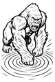 Big Gorilla Stomps Through the Water