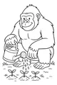 Gorilla’s Garden Watering Time