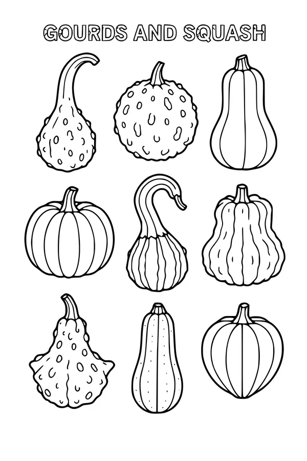 Parade of Gourds and Squash