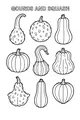 Parade of Gourds and Squash
