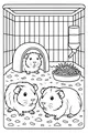 The Busy Guinea Pig Hideout