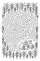Trick-or-Treaters in the Corn Maze