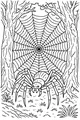 Midnight Forest Web Spinner
