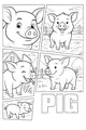 Smiling Pigs on the Sunny Farm