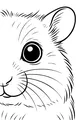 Big-Eyed Hamster Peekaboo
