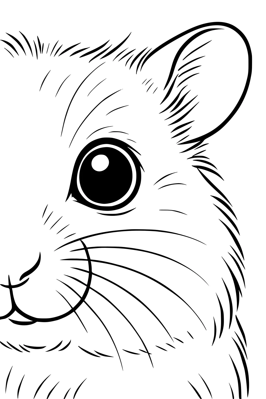 Black and white drawing of a hamster's face with a big eye, ear, rounded cheek, and fur details.