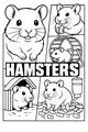 Busy Little Hamster Day at Home