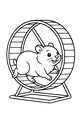 Hammy’s Big Fast Wheel Run