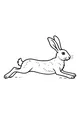 Hopper the Quick-Footed Hare