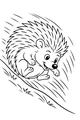 Hedgehog’s Rolling Hill Race