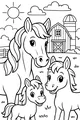 Sunshine Barnyard Horse Family Day