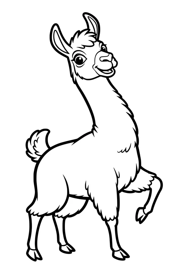 Lively Llama Ready for a Stroll