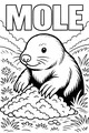 Mole Pops Up in the Meadow