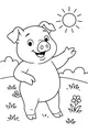 Sunny Day with a Happy Piglet