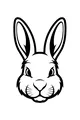 Bunny’s Giant-Eared Grin
