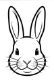Bright-Eyed Bunny Face Up Close