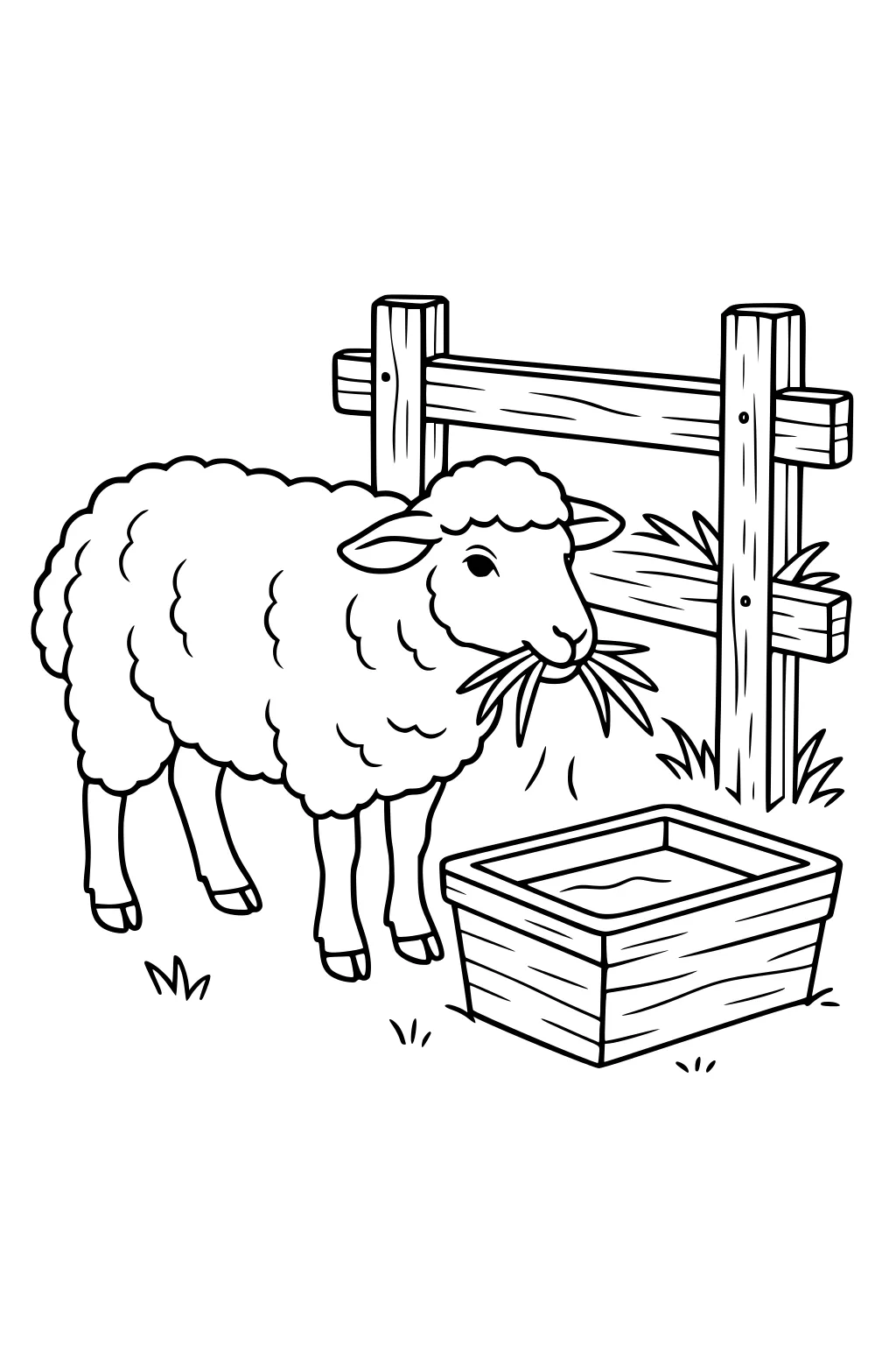 Sheep eating grass near a wooden trough beside a wooden fence with small tufts of grass on the ground.