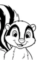 Sunny Day With a Smiling Skunk