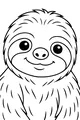Sunny Smiles from a Gentle Sloth