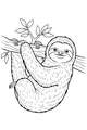 Sunny Branch Sloth Smiles Above the Leaves