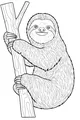 Sammy the Smiling Tree Hugger