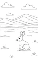 Hare in the Wide Open Meadow