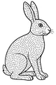 Maze-Eared Hare in the Clover Patch