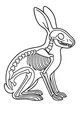 Hare Bones Peekaboo