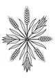 Harvest Star of Corn and Wheat