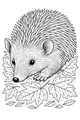 Spiky Hedgehog in a Leafy Hideout