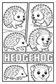 Hedgehog Faces and Spiky Fun