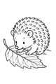 Little Hedgehog Finds a Giant Leaf