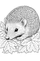 Hedgehog Snuggles in Leafy Hideaway