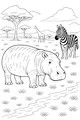 Sunny Day on the Hippo Plain