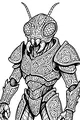 Star Beetle Guardian